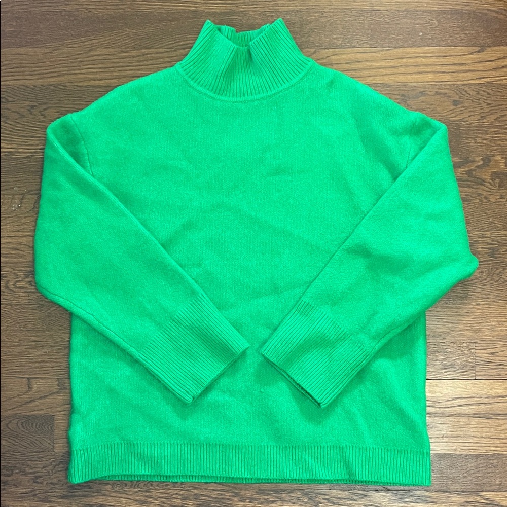 Zara Turtleneck Sweater